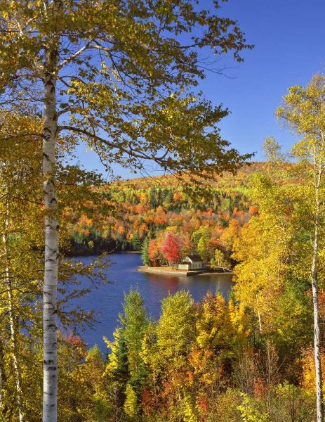 USA, Maine, Bingham Wyman Lake and autumn colors